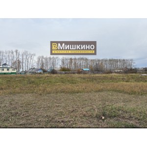 Продан деревянный дом в селе Мишкино