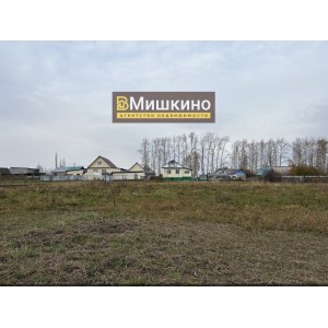 Продан деревянный дом в селе Мишкино