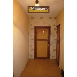 Продаётся квартира в двухквартирном доме в селе Мишкино