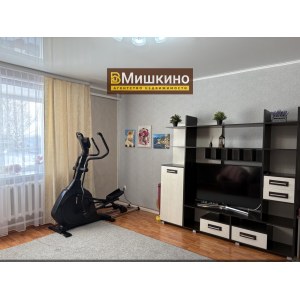 Продаётся блок-квартира в двухквартирном доме в селе Мишкино