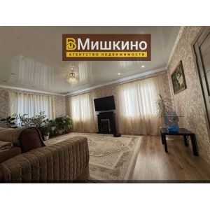Продается дом в с.Мишкино