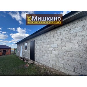 Продается дом в с.Мишкино