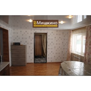 Продаётся жилой дом в с.Мишкино