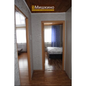 Продаётся жилой дом в с.Мишкино