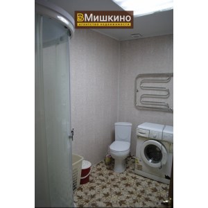 Продаётся жилой дом в с.Мишкино