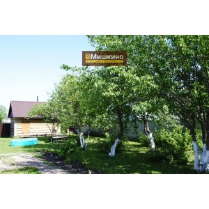 Продан деревянный дом в с.Мишкино