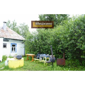 Продаётся жилой дом в центре села Мишкино