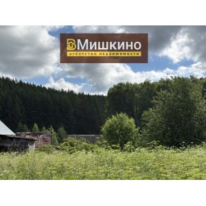 Продаётся жилой дом с земельным участком в с.Мишкино