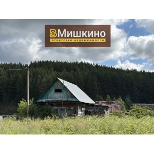 Продаётся жилой дом с земельным участком в с.Мишкино
