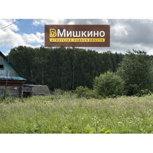Продаётся жилой дом с земельным участком в с.Мишкино