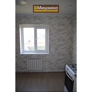 Продан новый дом в с.Мишкино