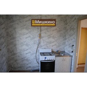 Продан новый дом в с.Мишкино
