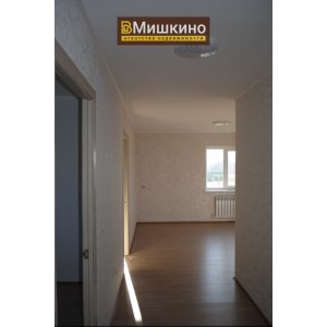 Продан новый дом в с.Мишкино