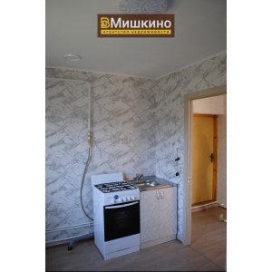 Продан новый дом в с.Мишкино