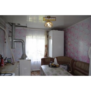 Продаётся жилой дом в с.Мишкино