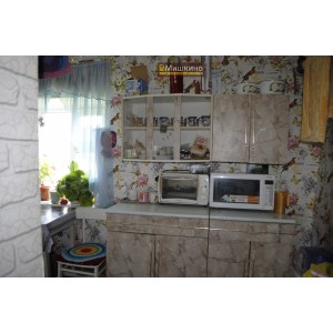 Продаётся жилой дом в с.Мишкино