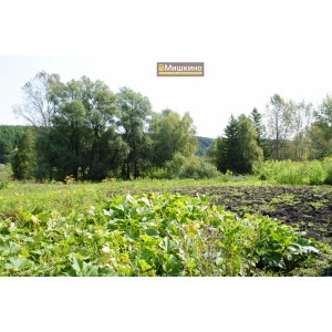 Продаётся жилой дом в с.Мишкино