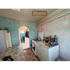 Продаётся жилой дом в с.Мишкино