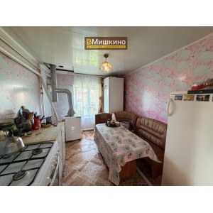 Продаётся жилой дом в с.Мишкино