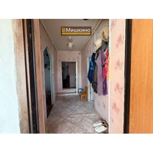 Продаётся жилой дом в с.Мишкино