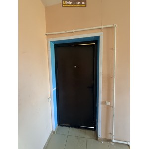 Продаётся двухэтажный жилой дом в с.Мишкино